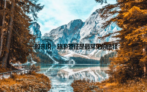 一般来说, 旅游签证是最常见的选择