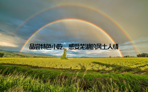 品尝特色小吃, 感受芜湖的风土人情