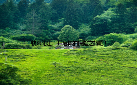 快来阳江, 开启你的探险之旅吧!