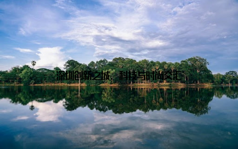 深圳创新之城, 科技与时尚交汇