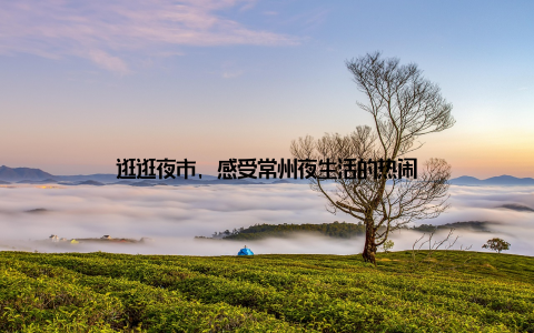 逛逛夜市, 感受常州夜生活的热闹
