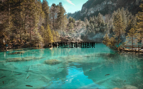 4等待签证审批结果