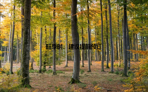 旺季时, 建议提前预订