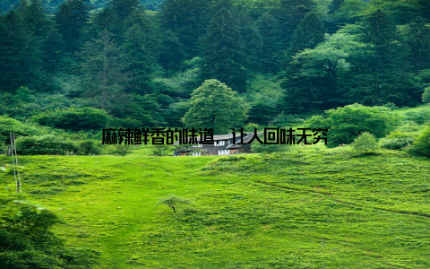 麻辣鲜香的味道, 让人回味无穷