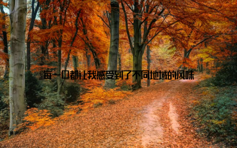 每一口都让我感受到了不同地域的风味