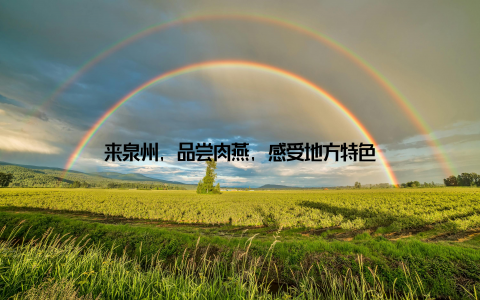 来泉州, 品尝肉燕, 感受地方特色