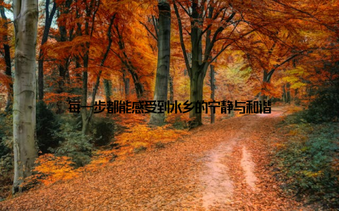 每一步都能感受到水乡的宁静与和谐
