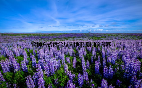这种方式适合从内地来澳门的游客