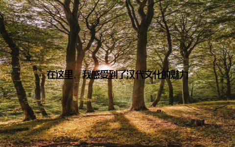 在这里, 我感受到了汉代文化的魅力
