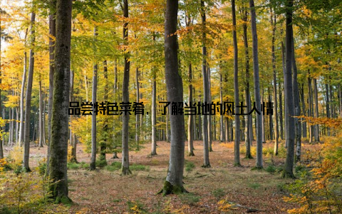 品尝特色菜肴, 了解当地的风土人情