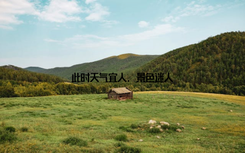 此时天气宜人, 景色迷人