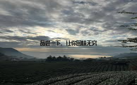 品尝一下, 让你回味无穷