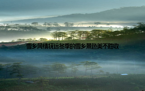 雪乡风情抚远冬季的雪乡景色美不胜收