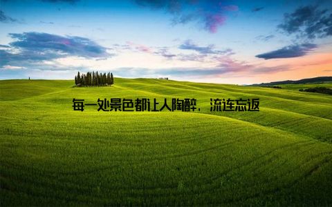 每一处景色都让人陶醉, 流连忘返