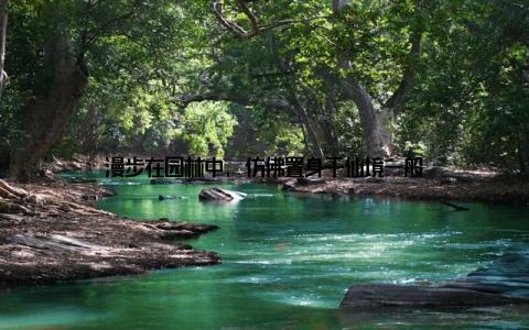 漫步在园林中, 仿佛置身于仙境一般
