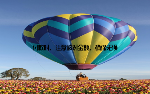 付款时, 注意核对金额, 确保无误