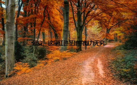 延安, 这座红色圣地的魅力无穷